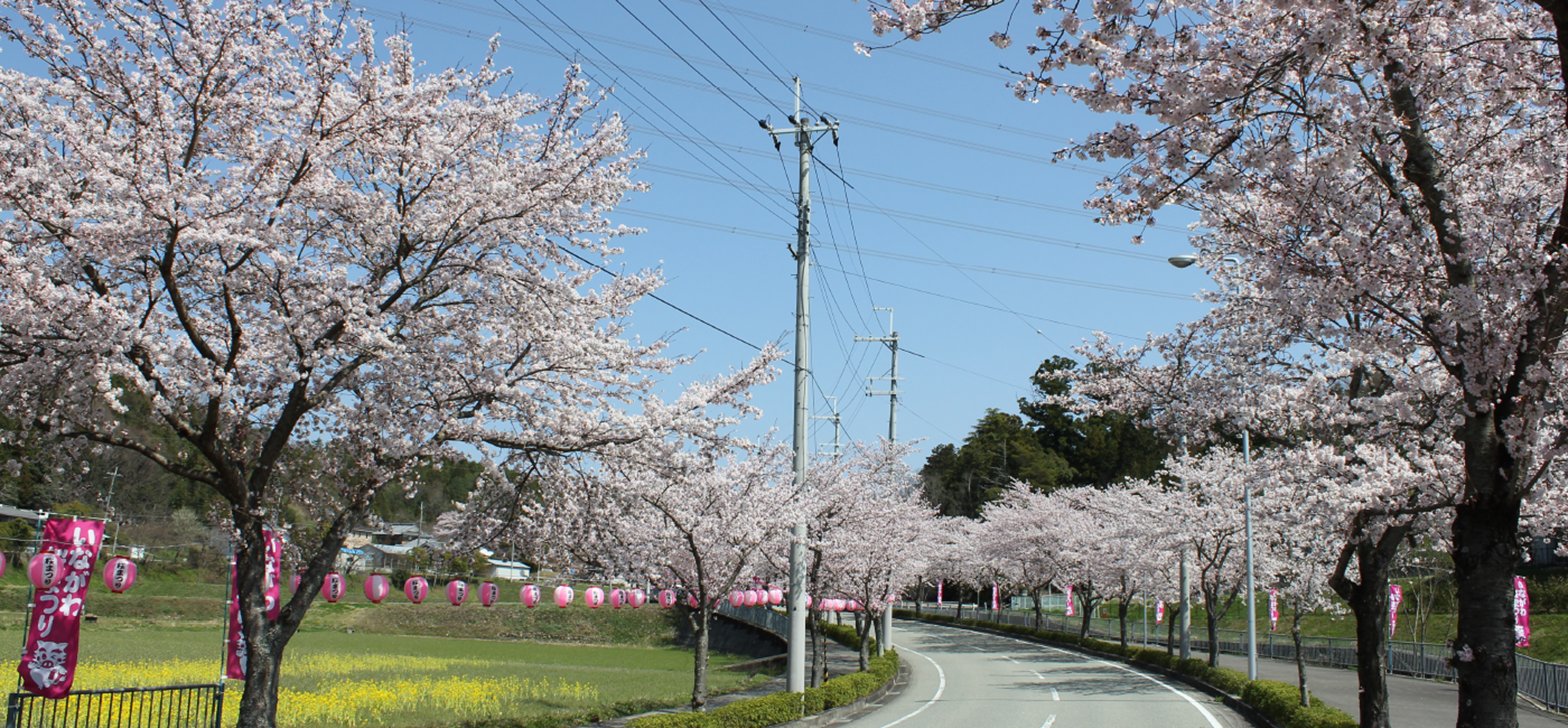 猪名川町は兵庫県の緑豊かな里山の自然と歴史や文化を楽しめる地域です